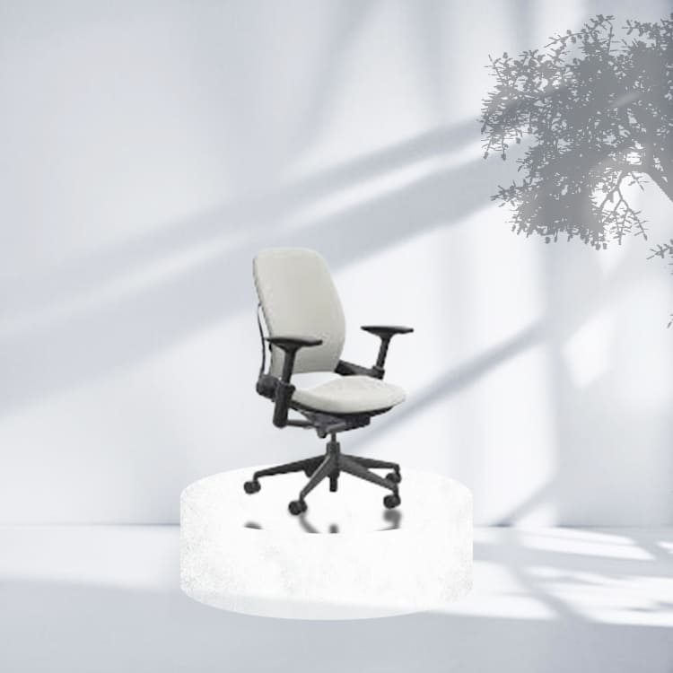  Steelcase Leap